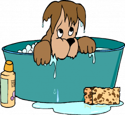 Free Pet Grooming Cliparts, Download Free Clip Art, Free Clip Art on ...
