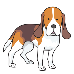 Beagle Golden Retriever Labrador Retriever Puppy Drawing free ...