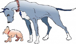 Free Big Dog Cliparts, Download Free Clip Art, Free Clip Art on ...