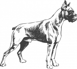 Dog Clip Art at Clker.com - vector clip art online, royalty free ...