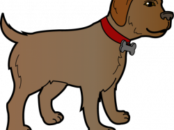 Boxer dog vector transparent stock - RR collections