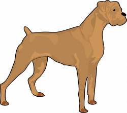 Brown Boxer Clip Art at Clker.com - vector clip art online, royalty ...