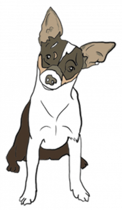 Chihuahua Dog Clipart