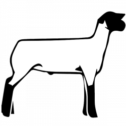 Free Show Lamb Clip Art | Sheep Graphics | Clublamb Images