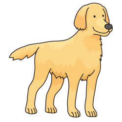 Golden Retriever - Labrador Retriever Golden Retriever - Labrador ...