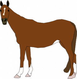 Horse Clip Art at Clker.com - vector clip art online, royalty free ...