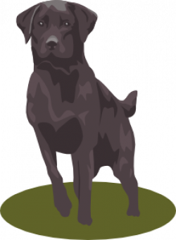 Labrador Retriever (black) Clip Art at Clker.com - vector clip art ...