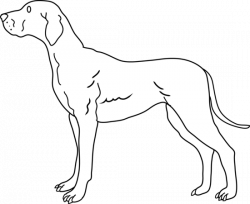 Free Line Drawing Of A Dog, Download Free Clip Art, Free Clip Art on ...