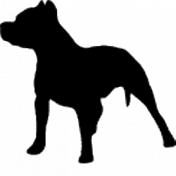 Free Pit Bull Clipart, Download Free Clip Art, Free Clip Art on ...
