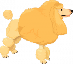 Fluffy Yellow Poodle Clip Art at Clker.com - vector clip art online ...