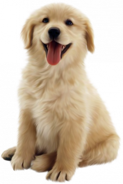 Real dog clip art stock - RR collections