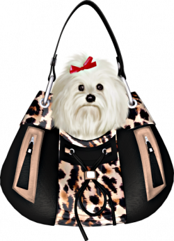 Purse 2.png | Cute animals | Pinterest | Dogs, Puppies and Pets