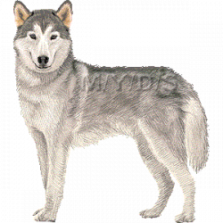Free Siberian Husky Cliparts, Download Free Clip Art, Free Clip Art ...