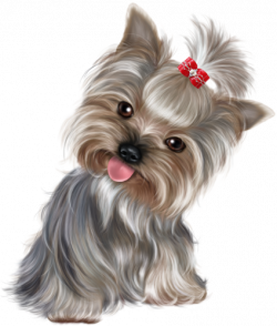 Yorkshire Terrier - Energetic and Affectionate | Art - Dog ...