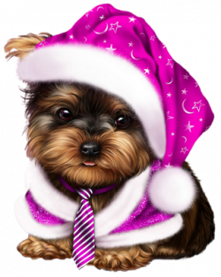 Pin by carmen gutierrez on draw | Pinterest | Perros, Perros ...