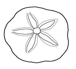 sea life clipart sand dollar | 12 sand dollar clip art free ...