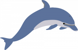 Free Free Dolphin, Download Free Clip Art, Free Clip Art on Clipart ...