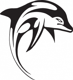 Mean Dolphin Clipart & Free Clip Art Images #3176 - Clipartimage.com