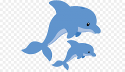 Dolphin, Drawing, Illustration, transparent png image & clipart free ...