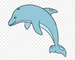 Dolphin Wildlife png download - 750*720 - Free Transparent Dolphin ...