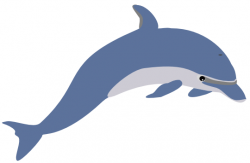 Free Cartoon Dolphin Clipart, Download Free Clip Art, Free Clip Art ...