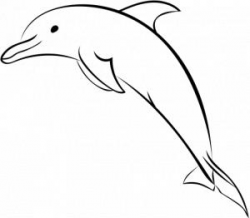 Dolphin Line Drawing | Free download best Dolphin Line Drawing on ...