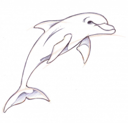 Dolphin Drawings in Pencil | How To Draw A Dolphin | drawing ideas ...
