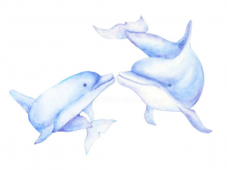 Watercolor Hand Painted Sea Creature-Dolphins Clipart, Mom and Baby ...