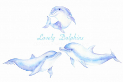 Watercolor Hand Painted Sea Creature-Dolphins Clipart, Mom and Baby ...