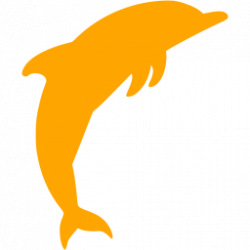Orange dolphin 2 icon - Free orange dolphin icons