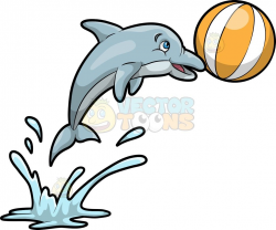 A dolphin playing with a ball : A silver gray dolphin jumping out of ...