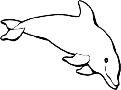 Dolphin 1 coloring page | Free Printable Coloring Pages