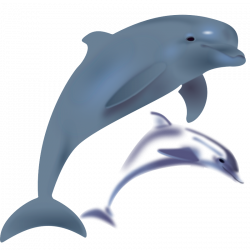 Free Image Of Dolphins, Download Free Clip Art, Free Clip Art on ...