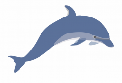 28 Collection Of Dolphin Clipart No Background - Dolphin Clipart ...