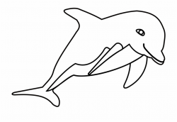 Png - Dolphin Clipart Black And White, Transparent Png Download For ...