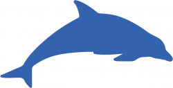 HD Icon-dolphin - Dolphin Transparent PNG Image Download - Trzcacak