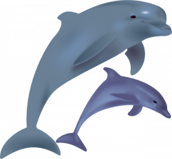 Free Free Dolphin, Download Free Clip Art, Free Clip Art on Clipart ...