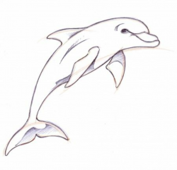 dolphin clipart | Tattooed in 2019 | Dolphin drawing, Dolphins ...