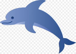 Dolphin Fin png download - 6883*4862 - Free Transparent Dolphin png ...