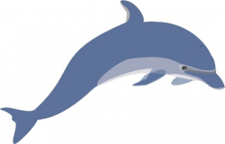 Free dolphin clip art transparent background free vector download ...