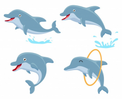 Dolphin Vectors, Photos and PSD files | Free Download