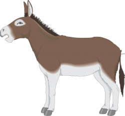 Cartoon Mule | back to cartoon clipart from cartoon donkey ...