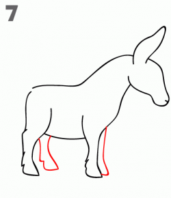 How To Draw a Donkey - Step-by-Step