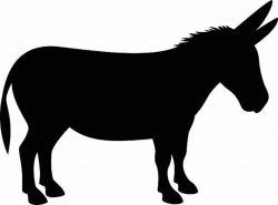 A vector illustration of a donkey silhouette. in 2019 ...