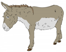 Donkey-free-PNG-transparent-background-images-free-download ...