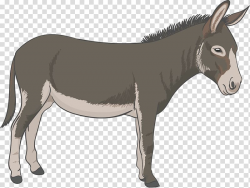 Donkey illustration, Donkey, Donkey transparent background ...