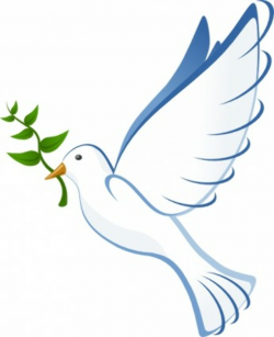 Free Baptism Dove Cliparts, Download Free Clip Art, Free Clip Art on ...