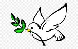 Dove Pictures Clip Art Dove Clipart For Free Download - Transparent ...