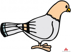 Pigeon dove clipart free design download wikiclipart - ClipartPost