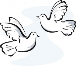 Dove clip art turtle dove - 133 transparent clip arts and pictures ...